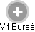 Vít Bureš - Vizualizace  propojení osoby a firem v obchodním rejstříku