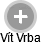  Vít V. - Vizualizace  propojení osoby a firem v obchodním rejstříku