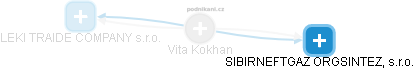 Vita Kokhan - Vizualizace  propojení osoby a firem v obchodním rejstříku