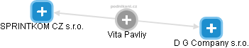  Vita P. - Vizualizace  propojení osoby a firem v obchodním rejstříku