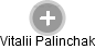 Vitalii Palinchak - Vizualizace  propojení osoby a firem v obchodním rejstříku