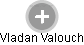  Vladan V. - Vizualizace  propojení osoby a firem v obchodním rejstříku