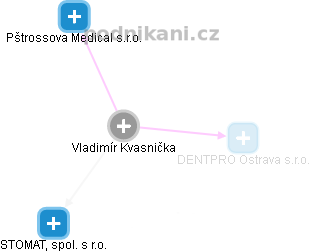 Vladimír Kvasnička - Vizualizace  propojení osoby a firem v obchodním rejstříku