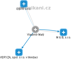 Vladimír Malý - Vizualizace  propojení osoby a firem v obchodním rejstříku