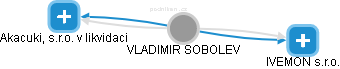 VLADIMIR SOBOLEV - Vizualizace  propojení osoby a firem v obchodním rejstříku