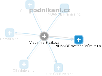  Vladimíra B. - Vizualizace  propojení osoby a firem v obchodním rejstříku