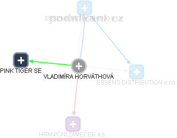  Vladimíra H. - Vizualizace  propojení osoby a firem v obchodním rejstříku