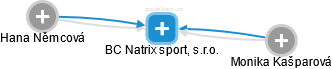 BC Natrix sport, s.r.o. - náhled vizuálního zobrazení vztahů obchodního rejstříku