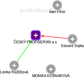 ČESKÝ PROFISERVIS a.s. - náhled vizuálního zobrazení vztahů obchodního rejstříku