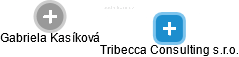 Tribecca Consulting s.r.o. - náhled vizuálního zobrazení vztahů obchodního rejstříku