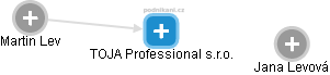 TOJA Professional s.r.o. - náhled vizuálního zobrazení vztahů obchodního rejstříku