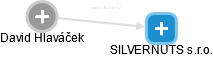 SILVERNUTS s.r.o. - náhled vizuálního zobrazení vztahů obchodního rejstříku