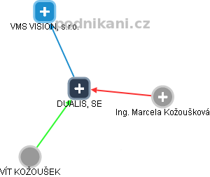 DUALIS, SE - náhled vizuálního zobrazení vztahů obchodního rejstříku