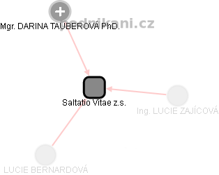 Saltatio Vitae z.s. - náhled vizuálního zobrazení vztahů obchodního rejstříku