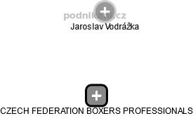 CZECH FEDERATION BOXERS PROFESSIONALS - náhled vizuálního zobrazení vztahů obchodního rejstříku