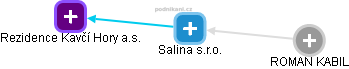 Salina s.r.o. - náhled vizuálního zobrazení vztahů obchodního rejstříku