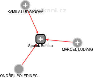 Spolek Bobina - náhled vizuálního zobrazení vztahů obchodního rejstříku