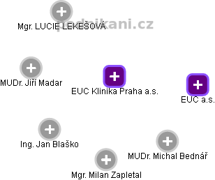 EUC Klinika Praha a.s. - náhled vizuálního zobrazení vztahů obchodního rejstříku