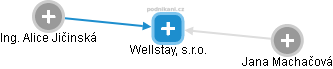 Wellstay, s.r.o. - náhled vizuálního zobrazení vztahů obchodního rejstříku
