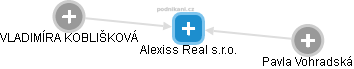 Alexiss Real s.r.o. - náhled vizuálního zobrazení vztahů obchodního rejstříku