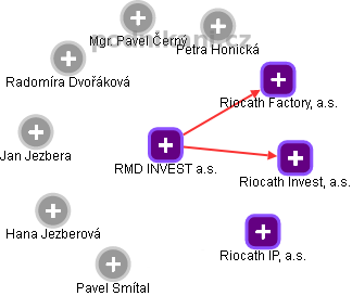 RMD INVEST a.s. - náhled vizuálního zobrazení vztahů obchodního rejstříku