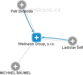 Wellness Group, s.r.o. - náhled vizuálního zobrazení vztahů obchodního rejstříku