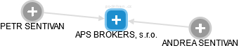 APS BROKERS, s.r.o. - náhled vizuálního zobrazení vztahů obchodního rejstříku