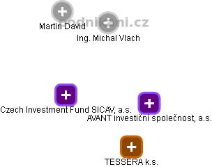 Czech Investment Fund SICAV, a.s. - náhled vizuálního zobrazení vztahů obchodního rejstříku