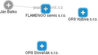 FLAMENGO servis s.r.o. - náhled vizuálního zobrazení vztahů obchodního rejstříku