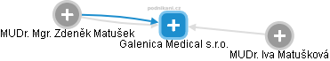 Galenica Medical s.r.o. - náhled vizuálního zobrazení vztahů obchodního rejstříku
