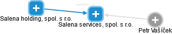 Salena services, spol. s r.o. - náhled vizuálního zobrazení vztahů obchodního rejstříku