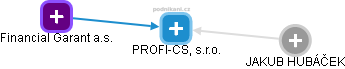 PROFI-CS, s.r.o. - náhled vizuálního zobrazení vztahů obchodního rejstříku