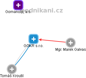 GOKR s.r.o. - náhled vizuálního zobrazení vztahů obchodního rejstříku