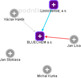 BLUECHEM a.s. - náhled vizuálního zobrazení vztahů obchodního rejstříku