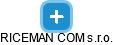 RICEMAN COM s.r.o. - náhled vizuálního zobrazení vztahů obchodního rejstříku