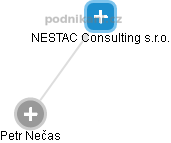 NESTAC Consulting s.r.o. - náhled vizuálního zobrazení vztahů obchodního rejstříku