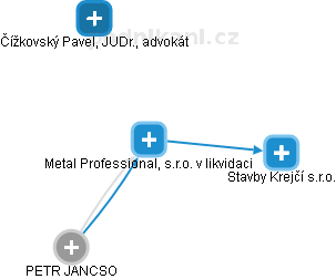 Metal Professional, s.r.o. v likvidaci - náhled vizuálního zobrazení vztahů obchodního rejstříku