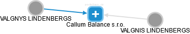 Callum Balance s.r.o. - náhled vizuálního zobrazení vztahů obchodního rejstříku