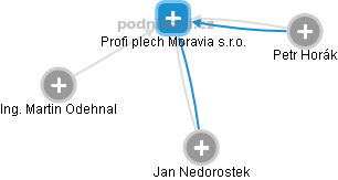 Profi plech Moravia s.r.o. - náhled vizuálního zobrazení vztahů obchodního rejstříku