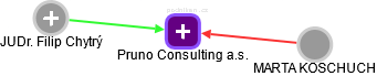 Pruno Consulting a.s. - náhled vizuálního zobrazení vztahů obchodního rejstříku