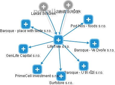 LifeTree s.r.o. - náhled vizuálního zobrazení vztahů obchodního rejstříku