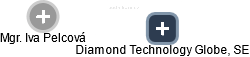 Diamond Technology Globe, SE - náhled vizuálního zobrazení vztahů obchodního rejstříku