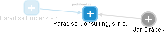 Paradise Consulting, s. r. o. - náhled vizuálního zobrazení vztahů obchodního rejstříku