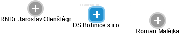DS Bohnice s.r.o. - náhled vizuálního zobrazení vztahů obchodního rejstříku