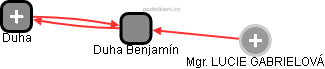 Duha Benjamín - náhled vizuálního zobrazení vztahů obchodního rejstříku