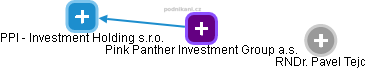 Pink Panther Investment Group a.s. - náhled vizuálního zobrazení vztahů obchodního rejstříku