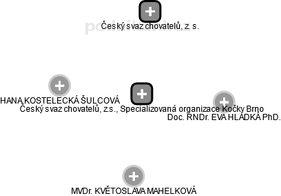 Český svaz chovatelů, z.s., Specializovaná organizace Kočky Brno - náhled vizuálního zobrazení vztahů obchodního rejstříku