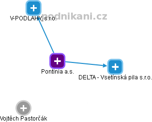 Pontinia a.s. - náhled vizuálního zobrazení vztahů obchodního rejstříku