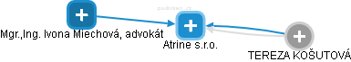 Atrine s.r.o. - náhled vizuálního zobrazení vztahů obchodního rejstříku