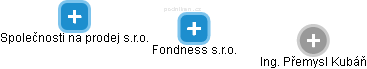 Fondness s.r.o. - náhled vizuálního zobrazení vztahů obchodního rejstříku